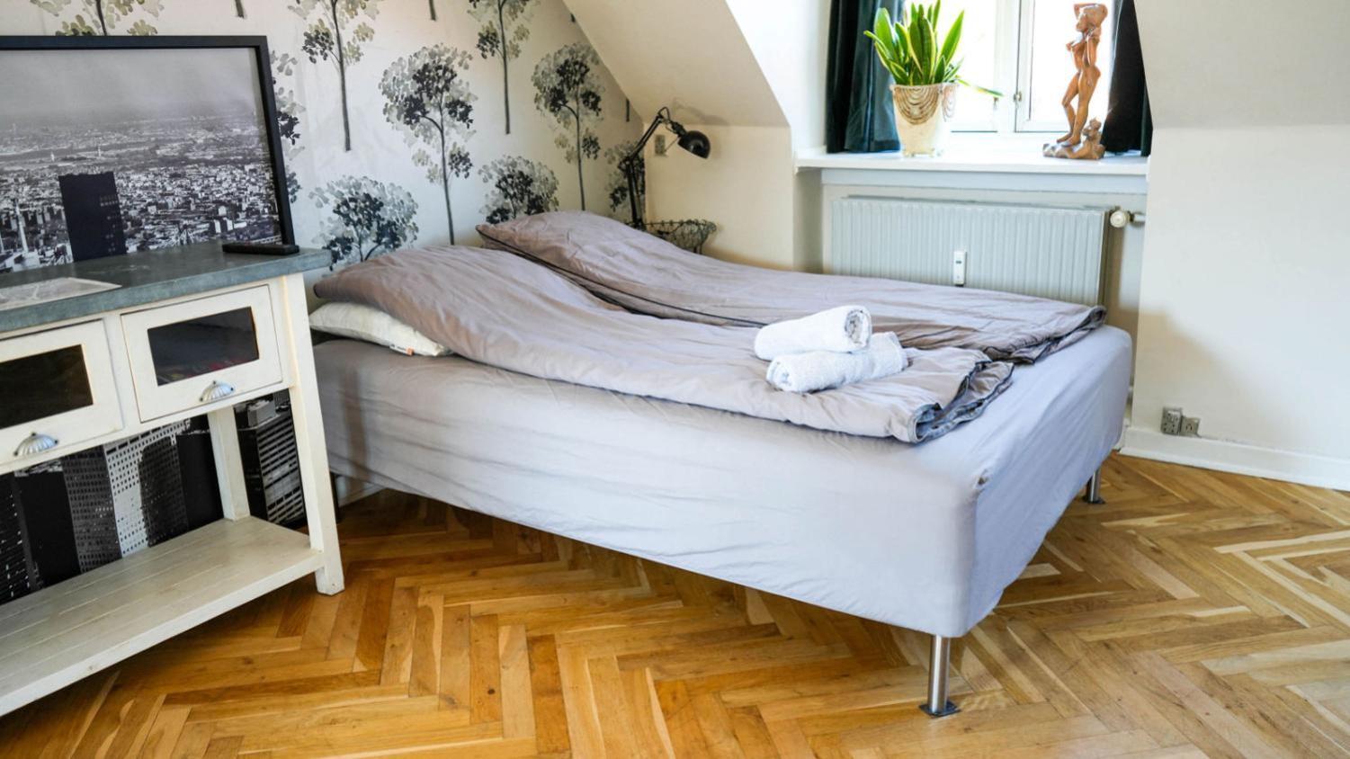 Cosy In Residential Part Of Copenhagen, With Free Street Parking And Shared Bathroom Homestay